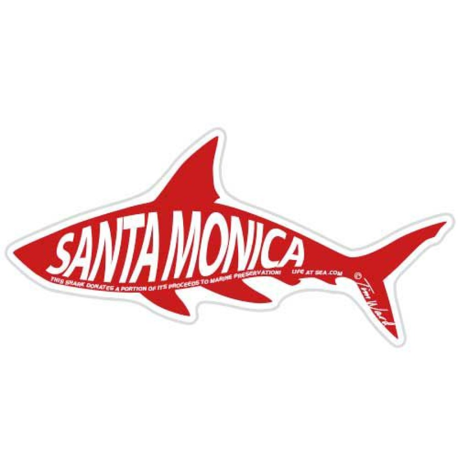 Accessories * | Santa Monica Shark Sticker Best Choice